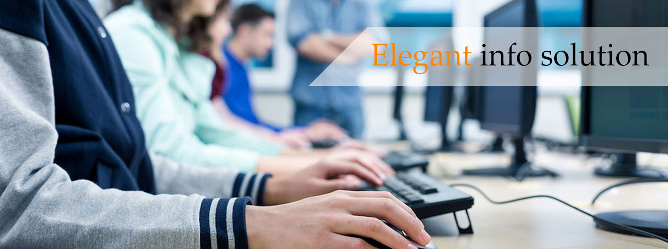 elegant infosolutions